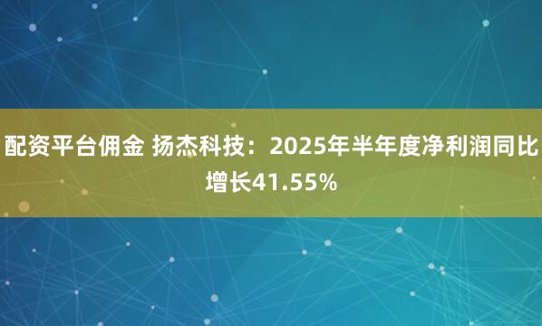 配资平台佣金 扬杰科技：2025年半年度净利润同比增长41.55%